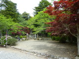 img0003.jpg