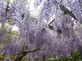 img0006.jpg