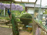 img0007.jpg