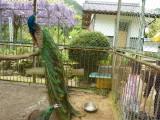 img0008.jpg