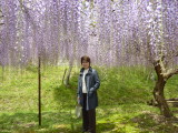 img0018.jpg
