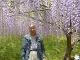 img0019.jpg