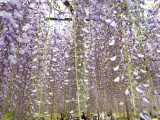 img0020.jpg