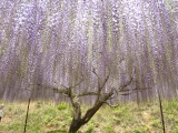 img0021.jpg
