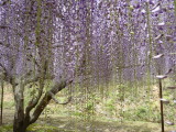 img0023.jpg