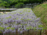 img0025.jpg