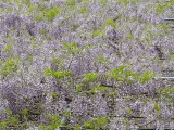 img0026.jpg