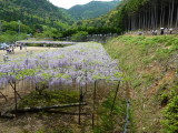 img0027.jpg