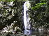 img0035.jpg