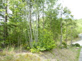 img0057.jpg