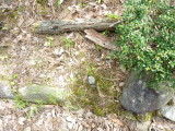 img0059.jpg