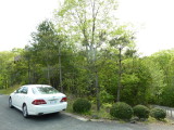 img0061.jpg