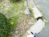 img0062.jpg