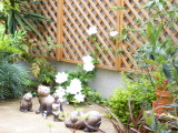 img0008.jpg