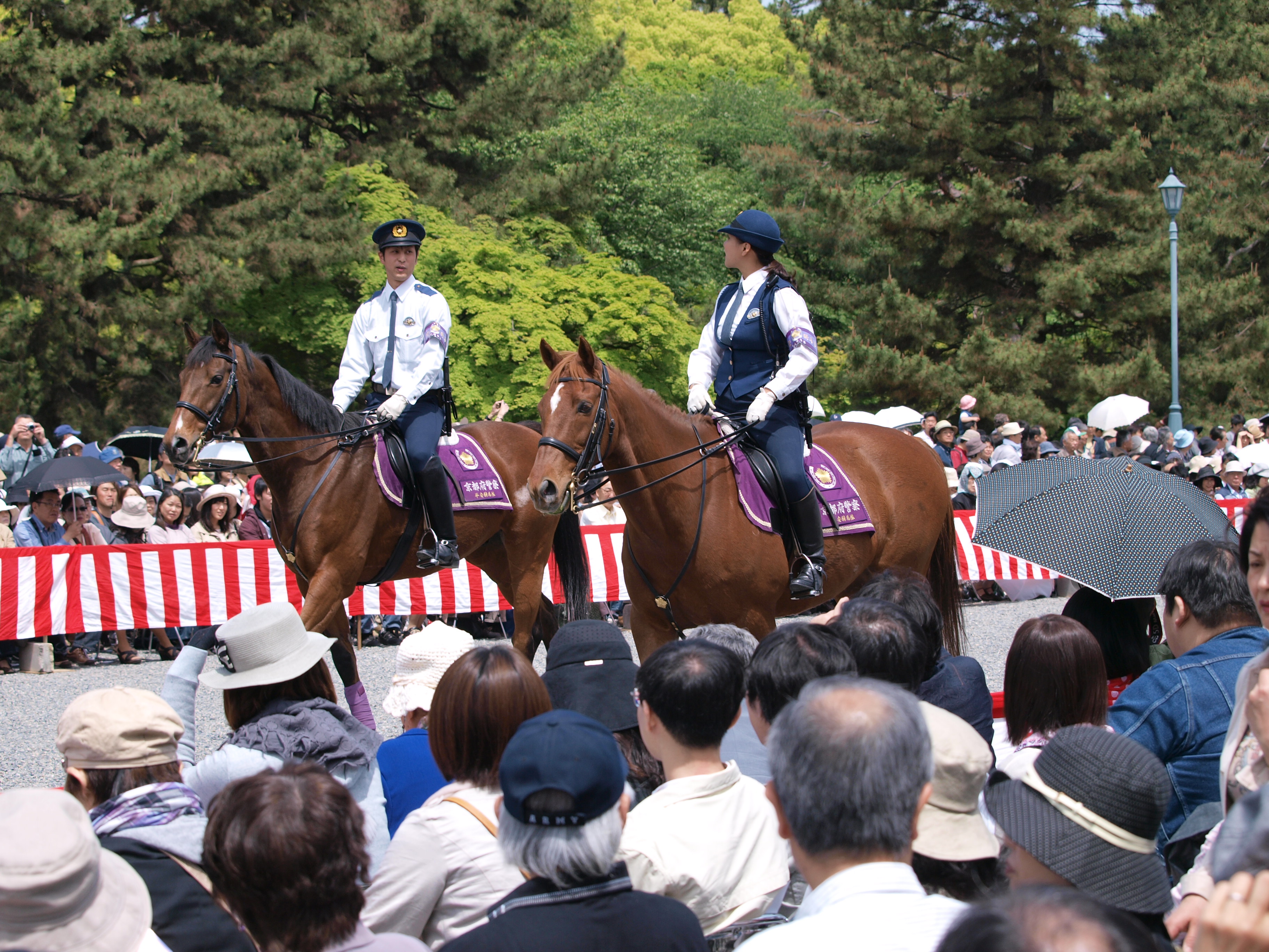 P5155357.JPG