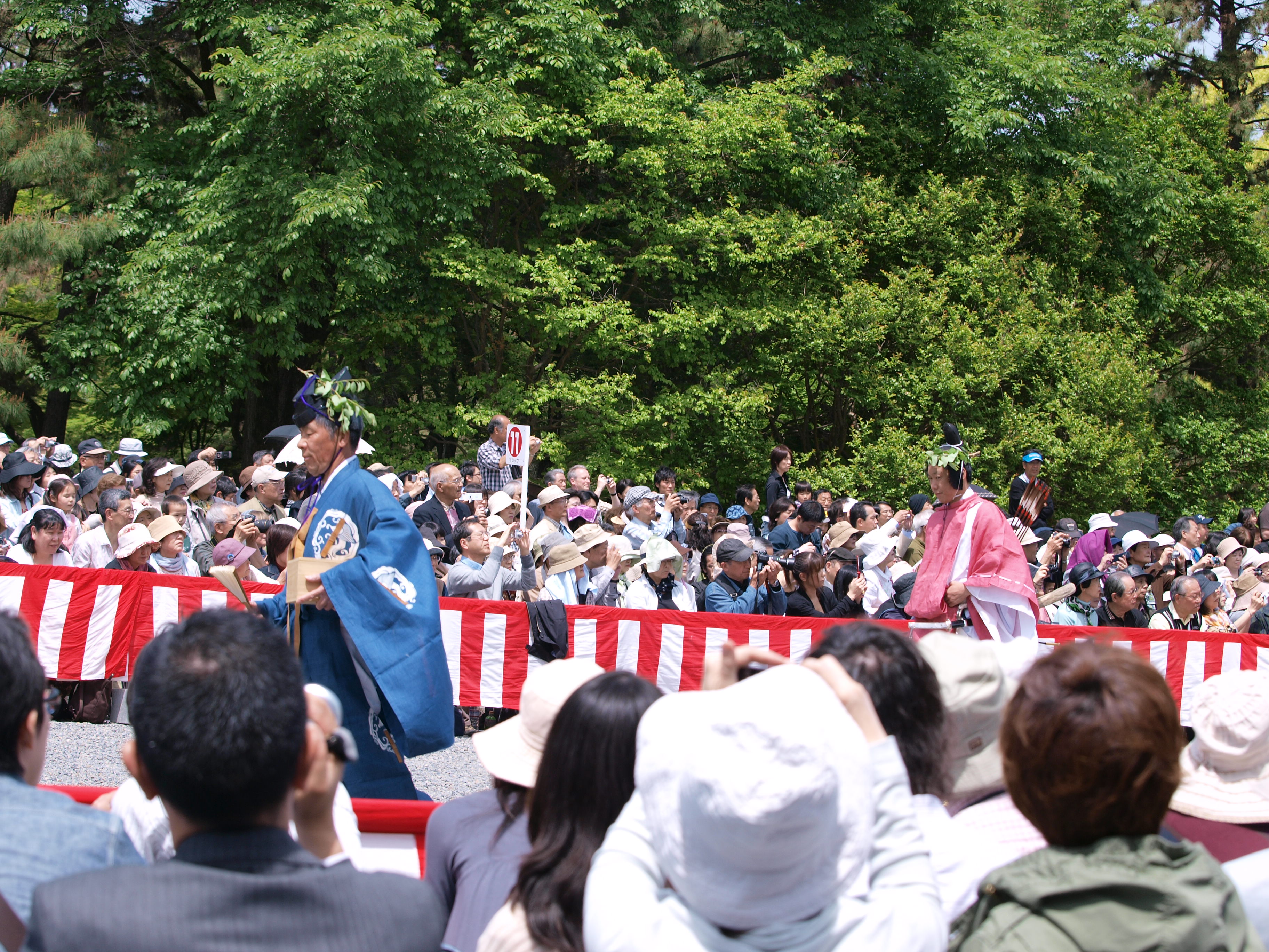 P5155365.JPG