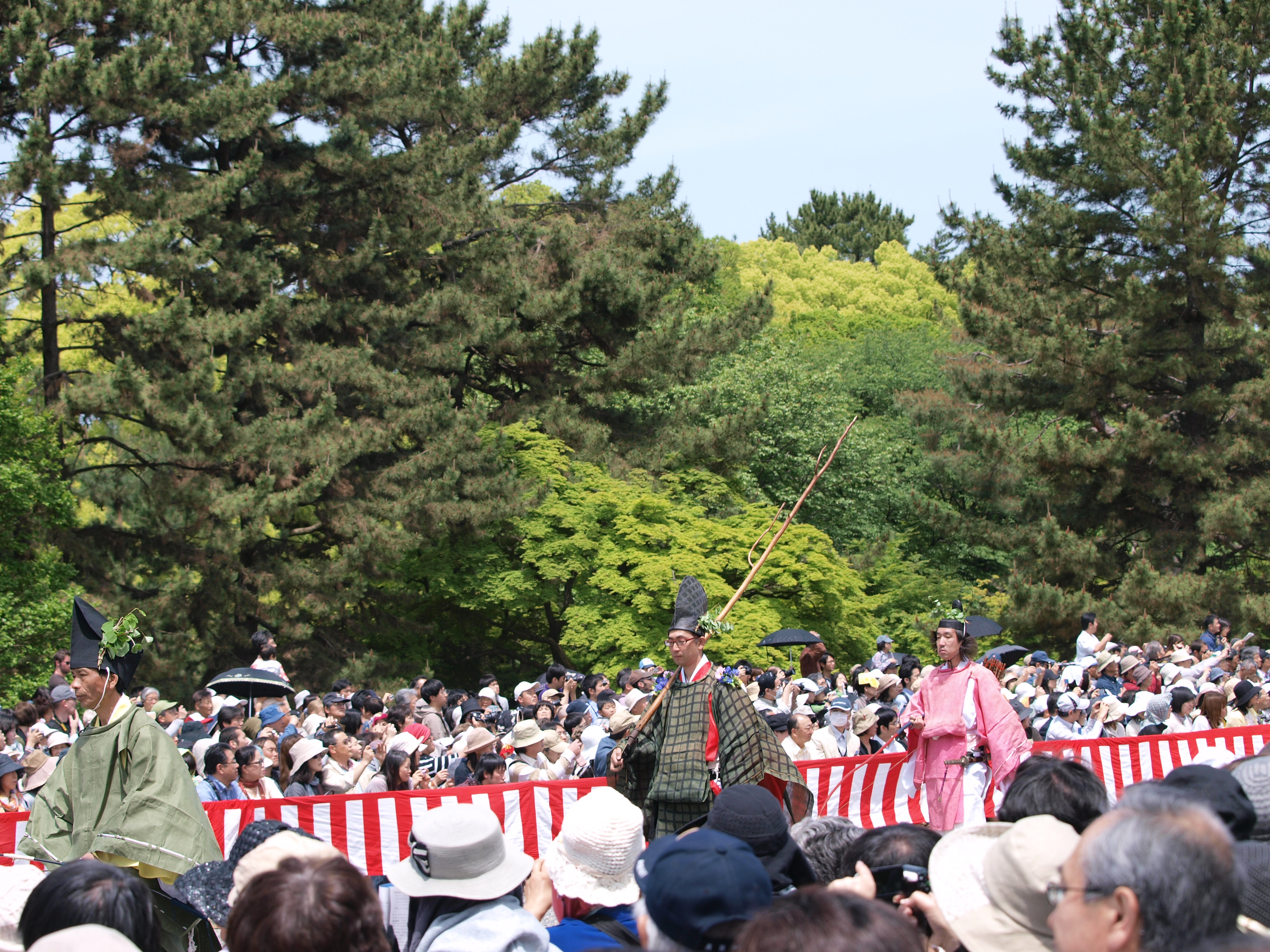 P5155368.JPG