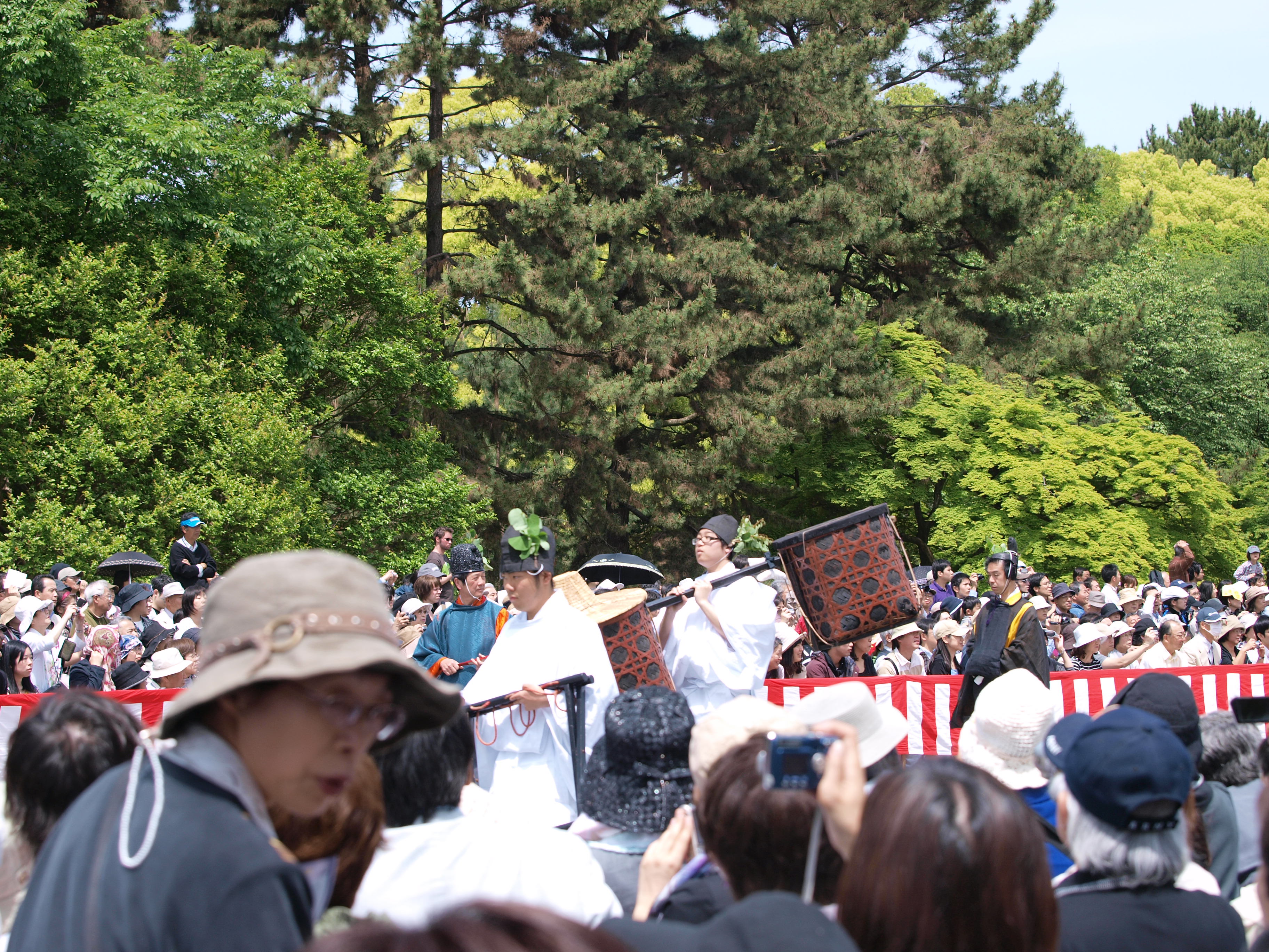 P5155371.JPG