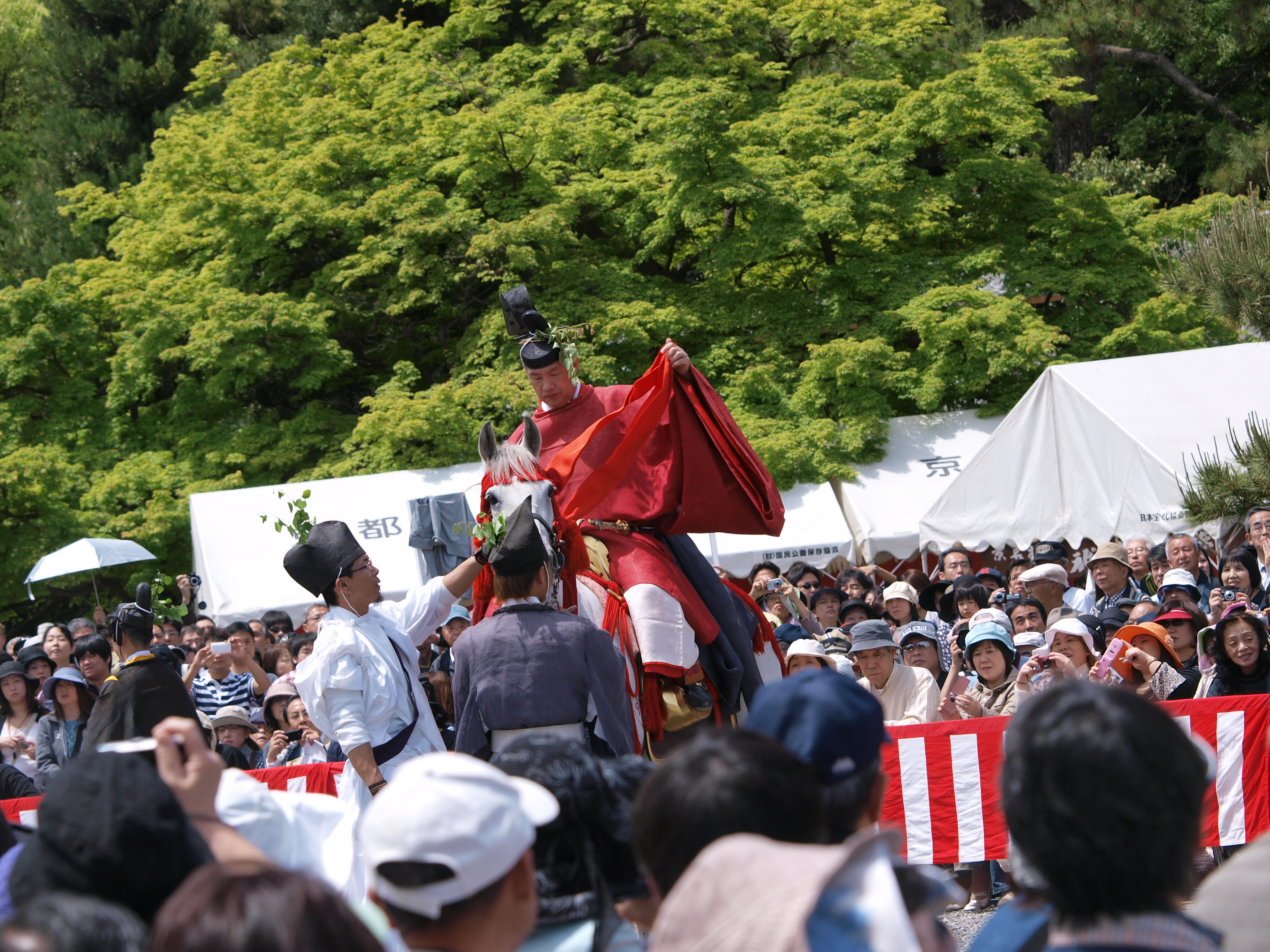 P5155374.JPG