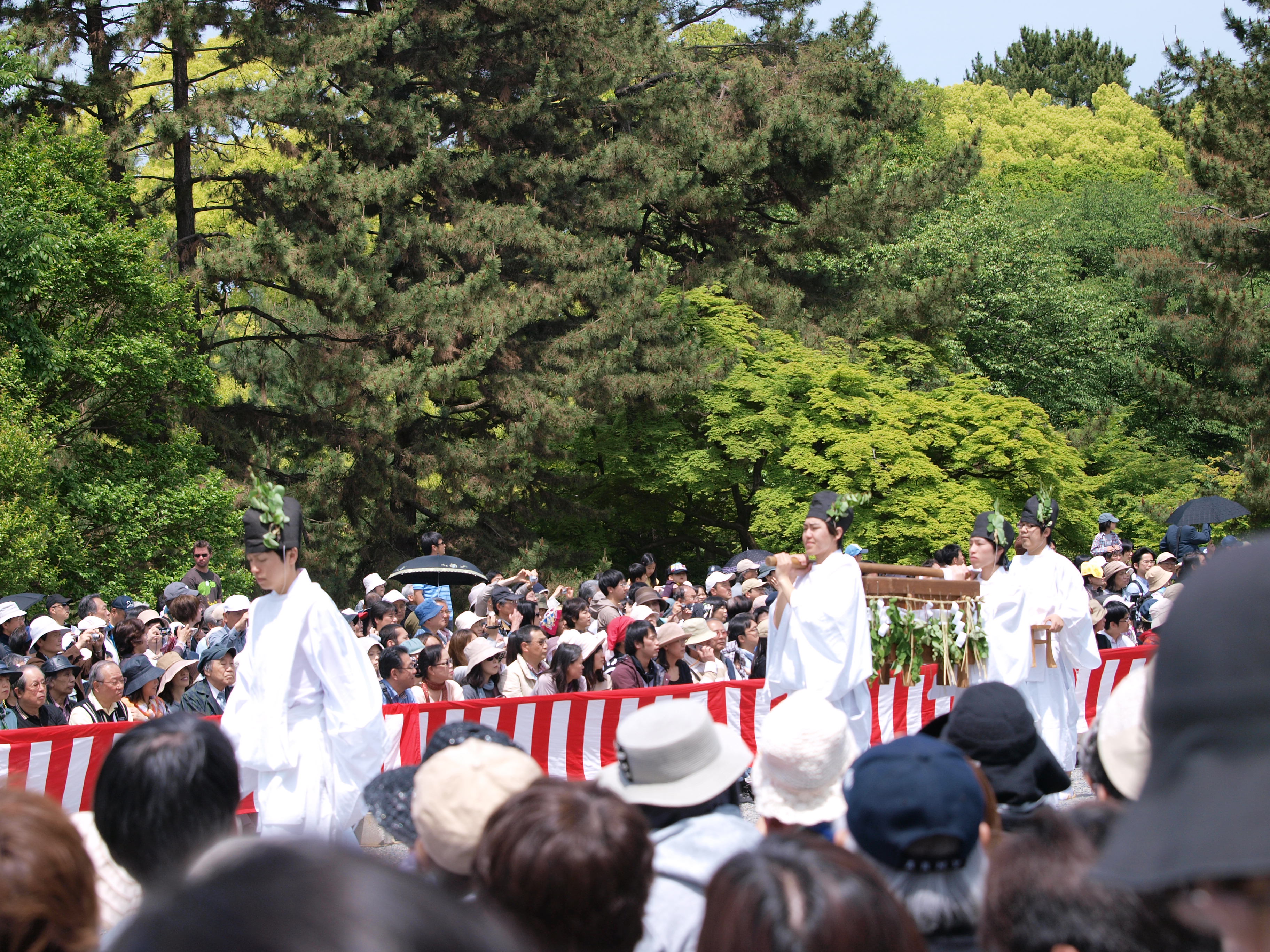 P5155377.JPG