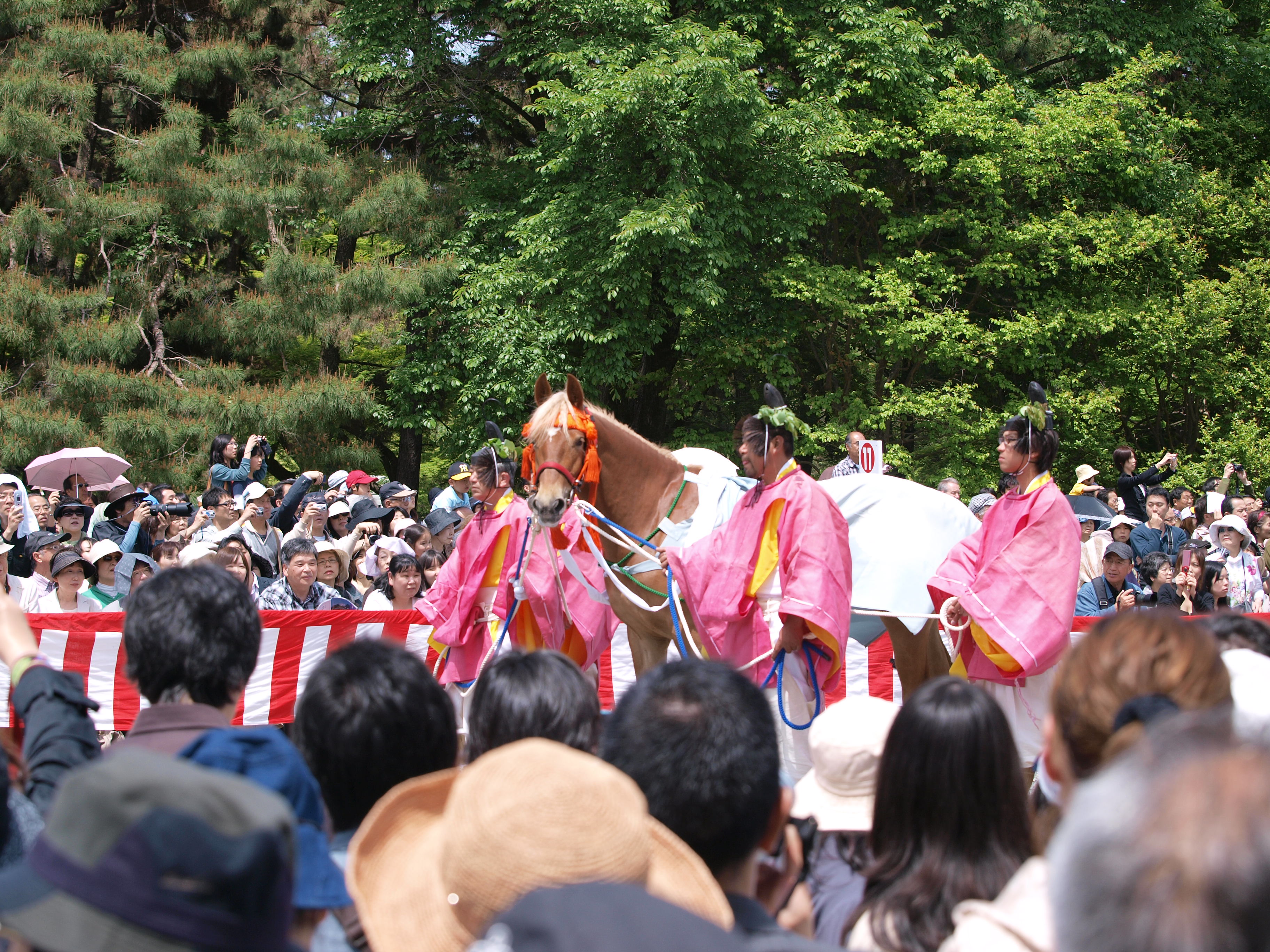 P5155379.JPG