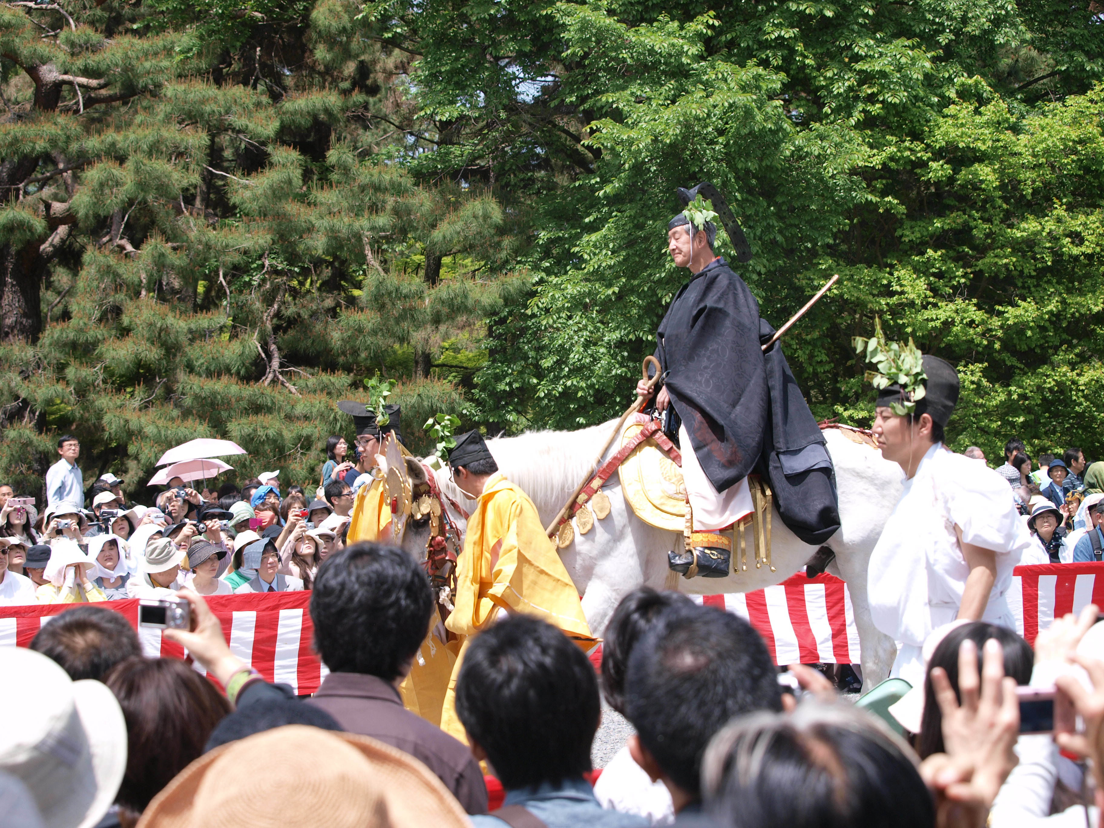 P5155389.JPG