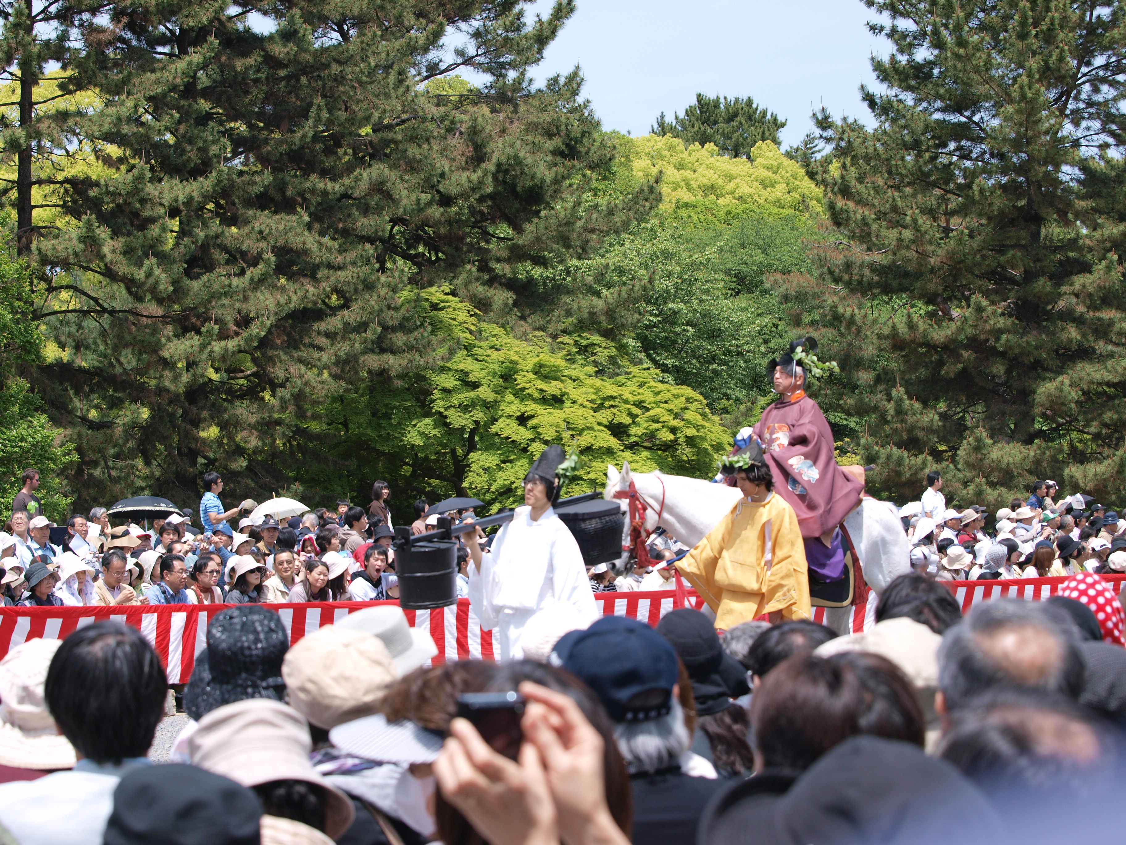 P5155398.JPG