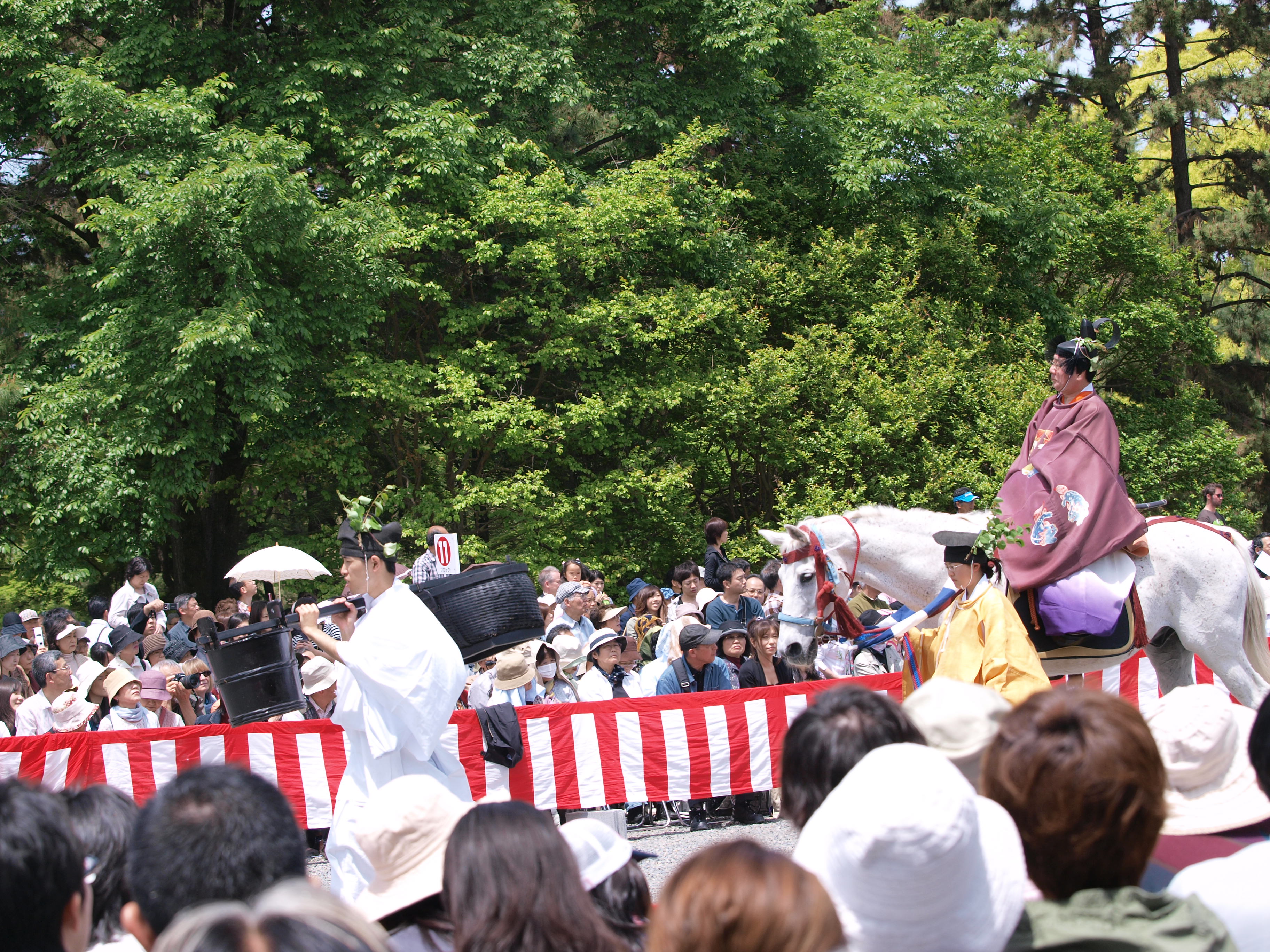 P5155399.JPG