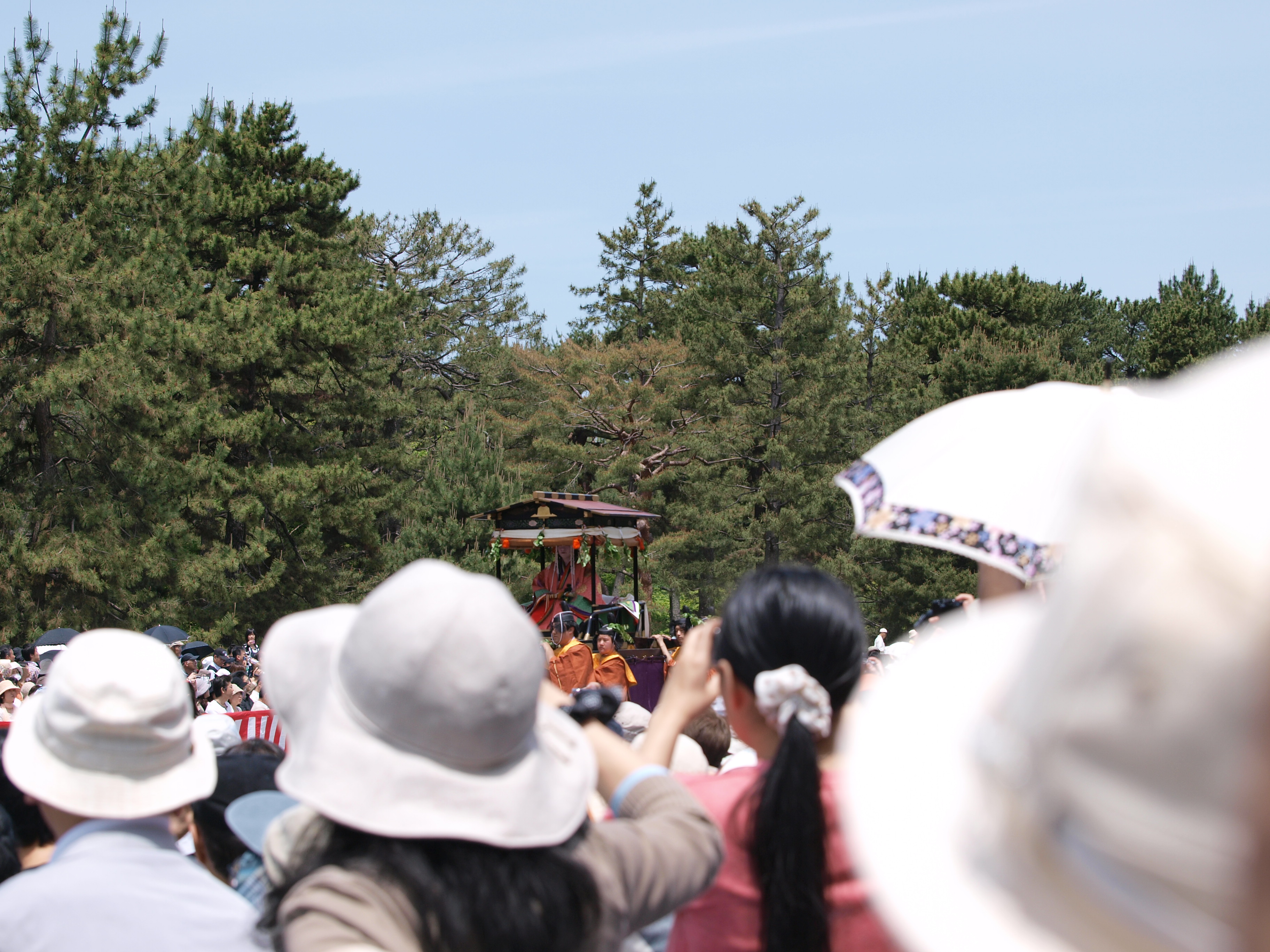 P5155414.JPG