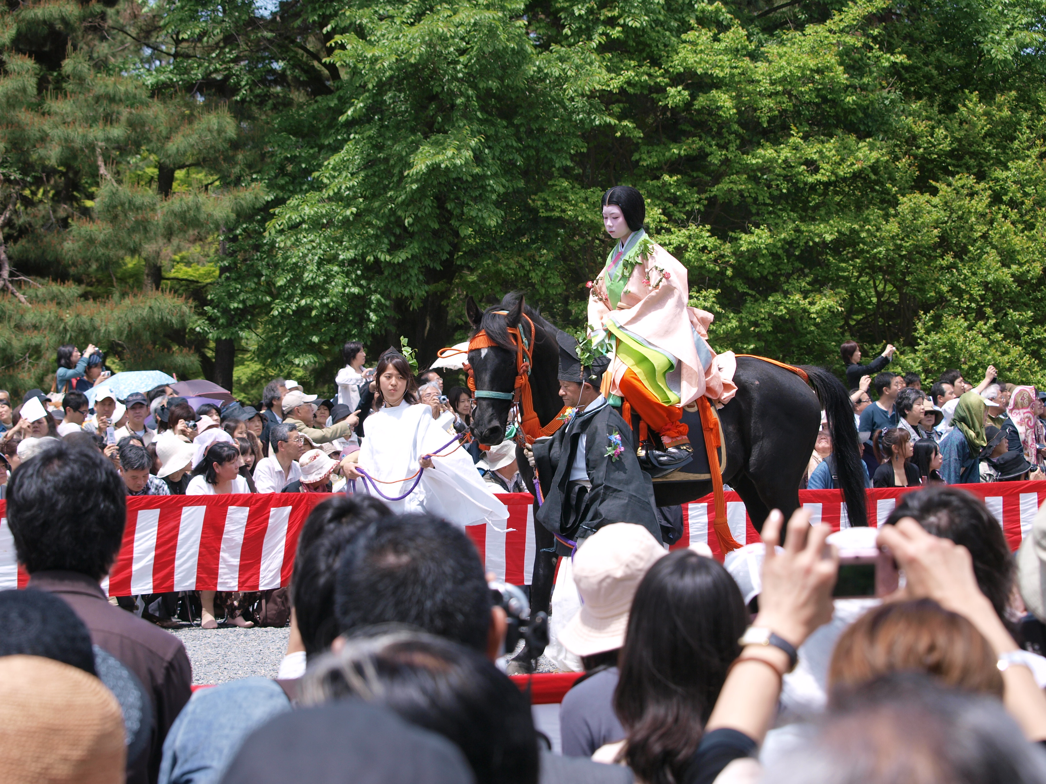 P5155427.JPG