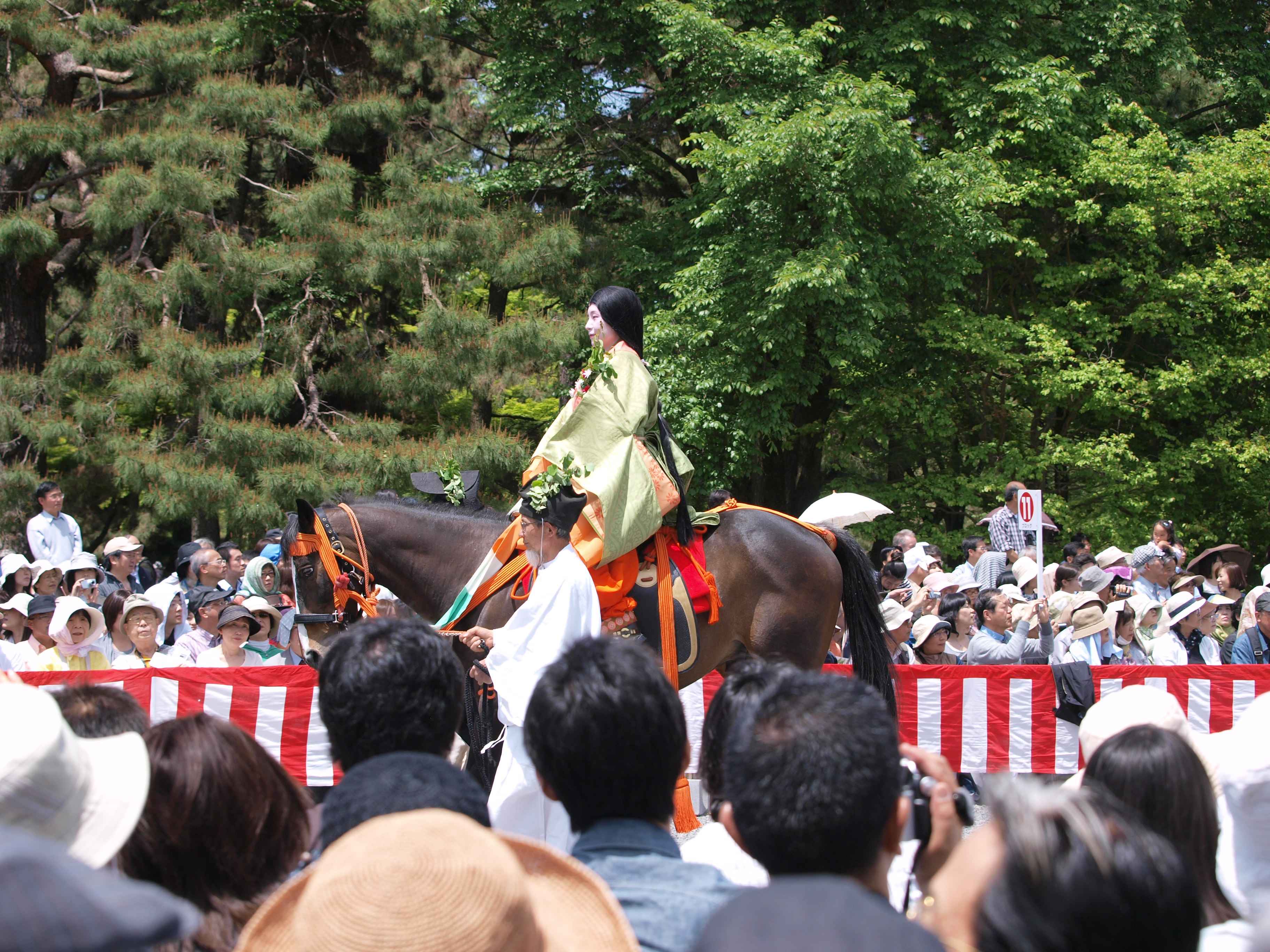 P5155433.JPG