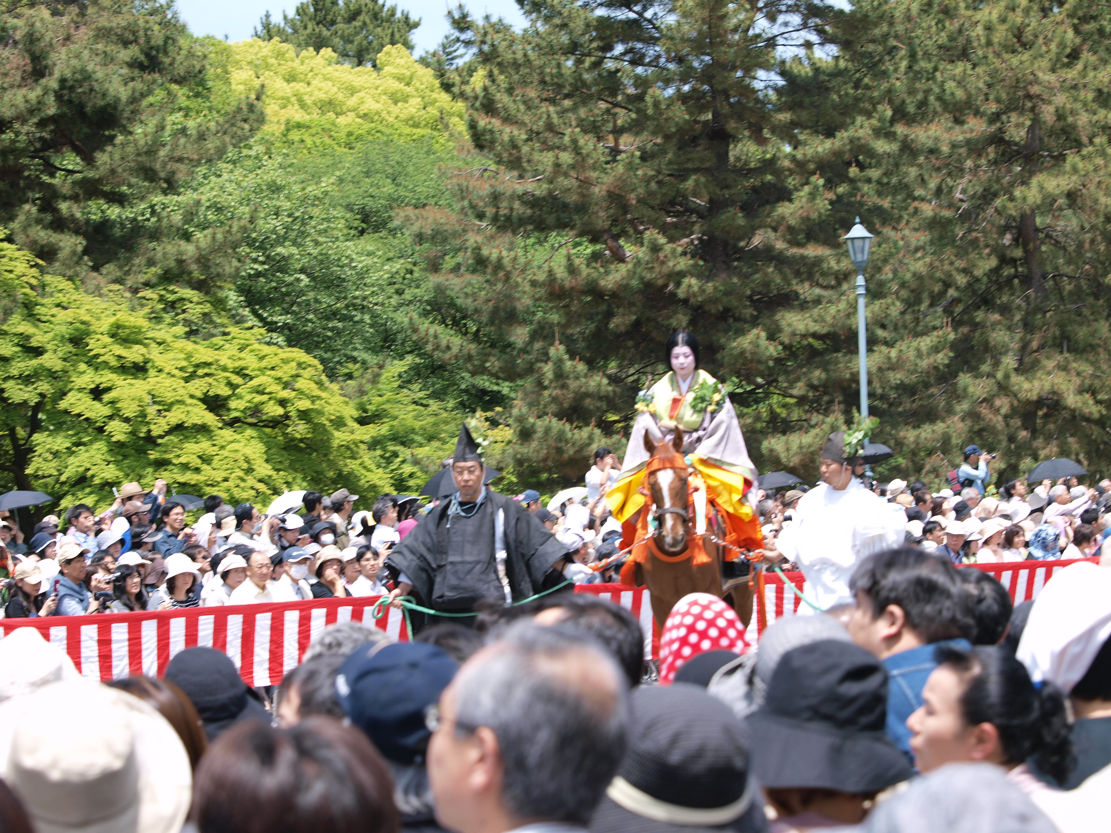 P5155434.JPG