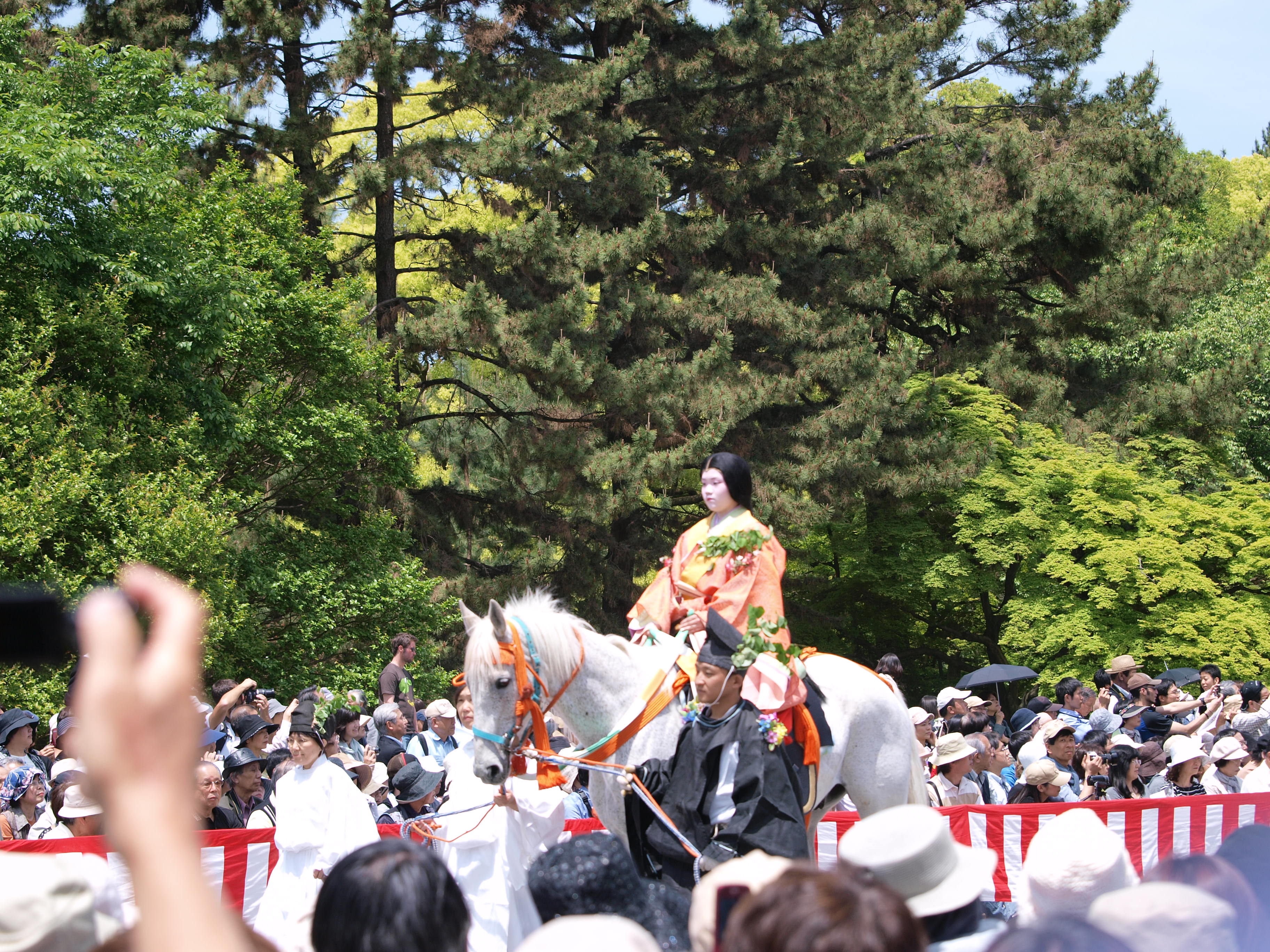 P5155436.JPG