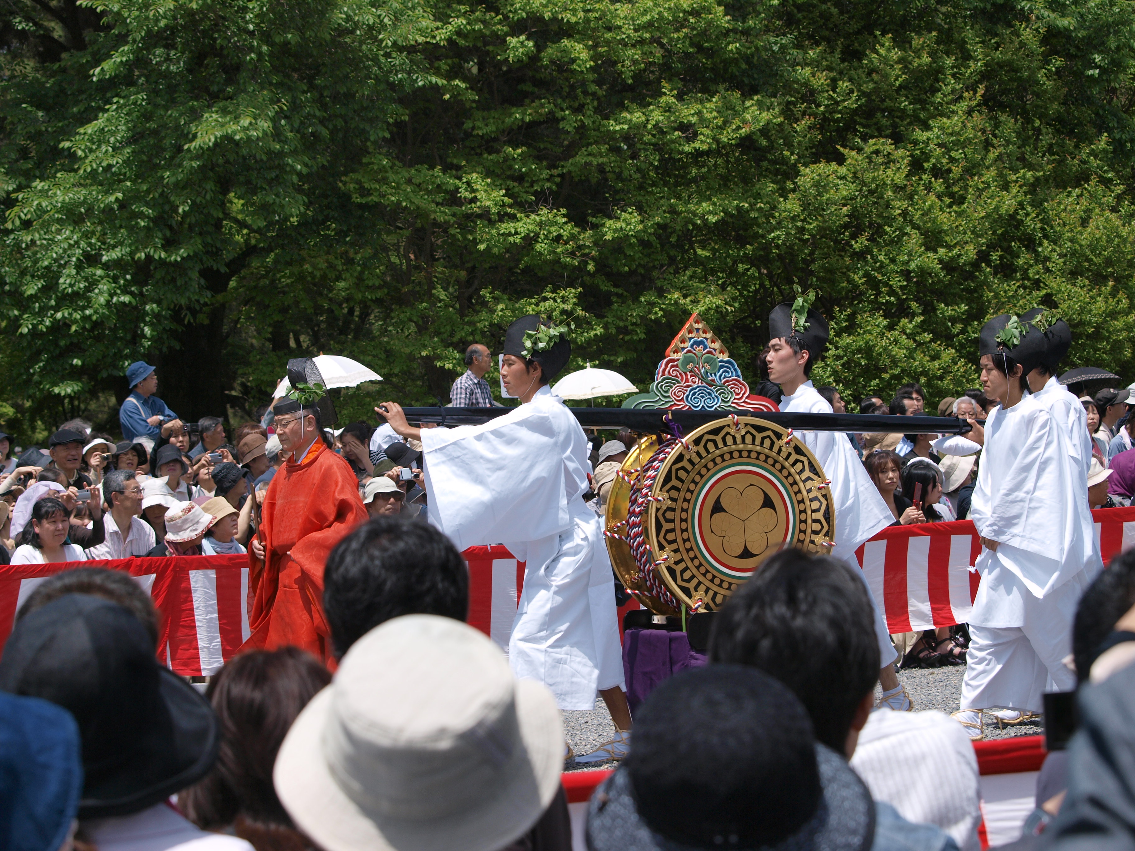P5155440.JPG