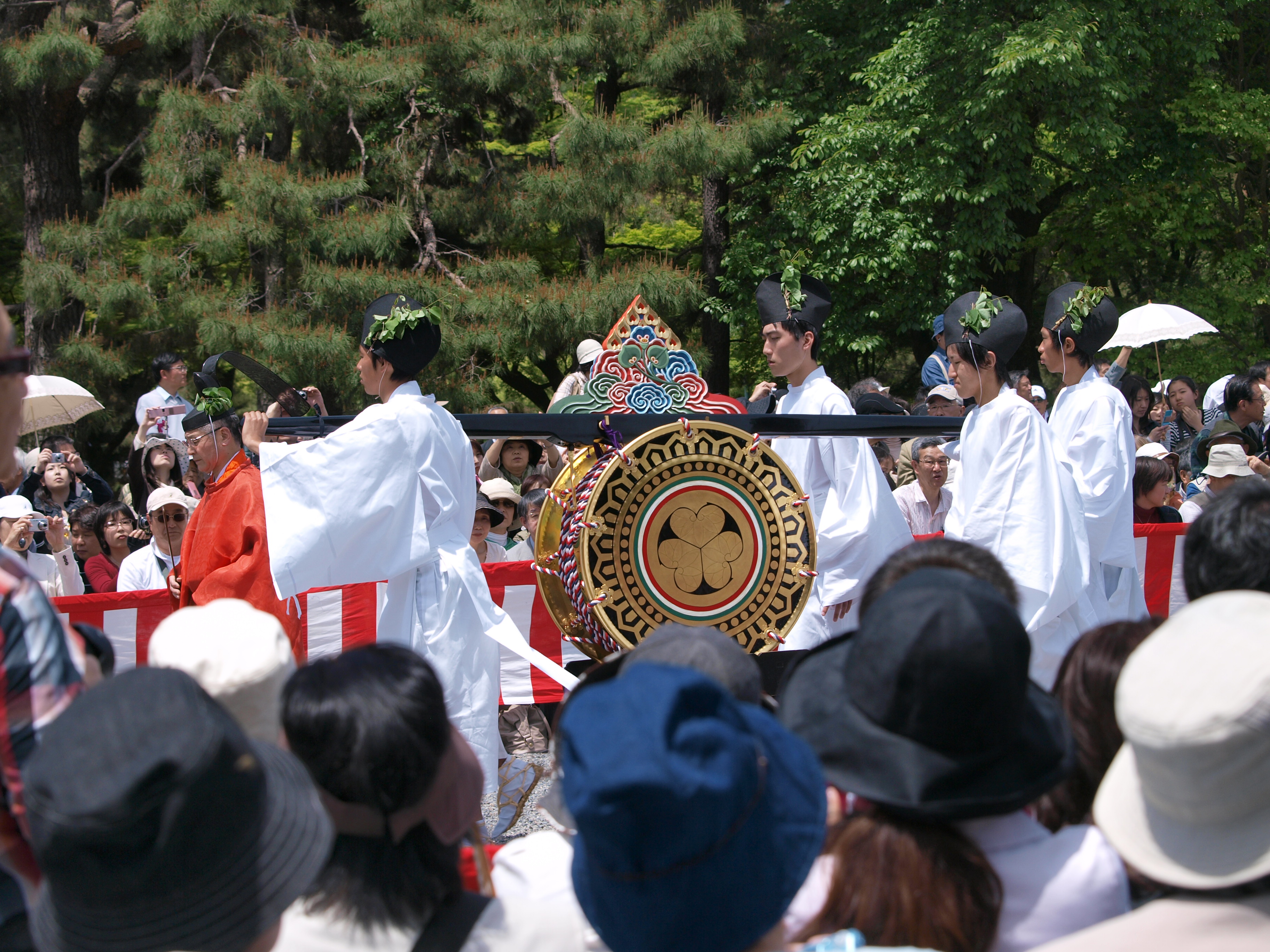 P5155441.JPG