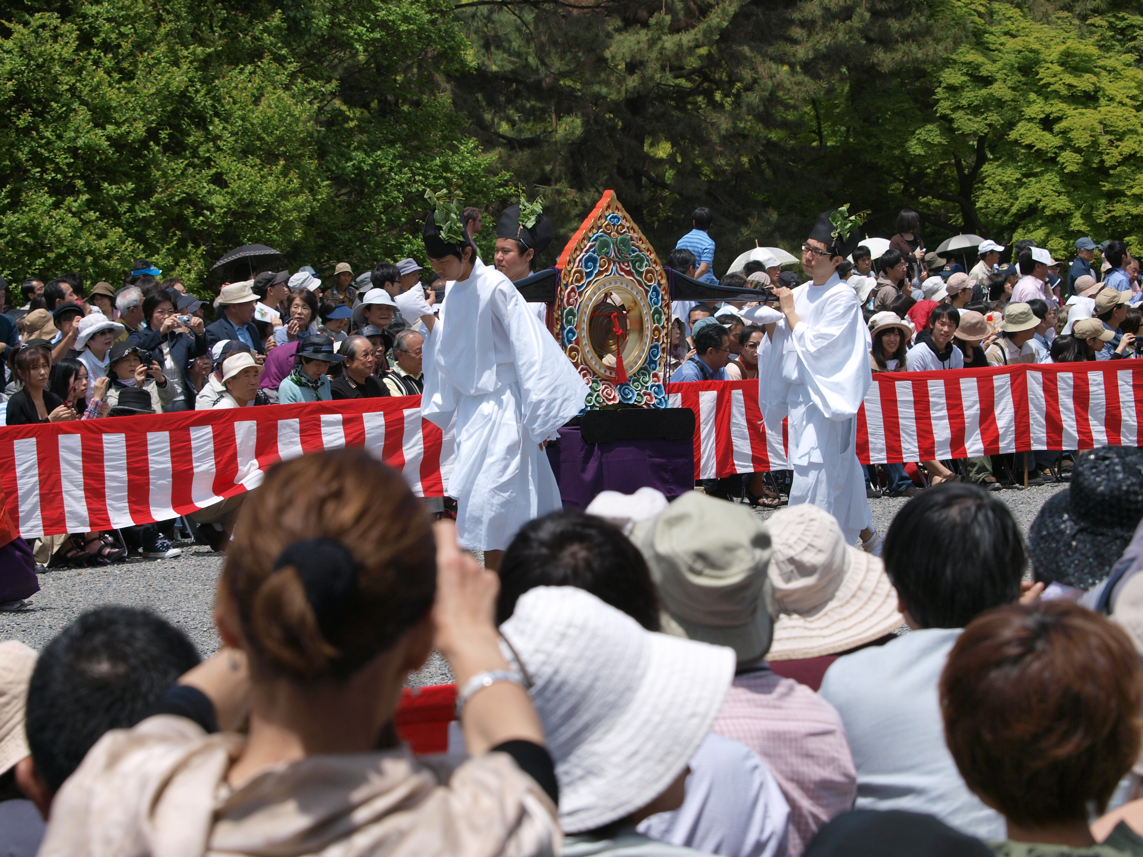 P5155442.JPG