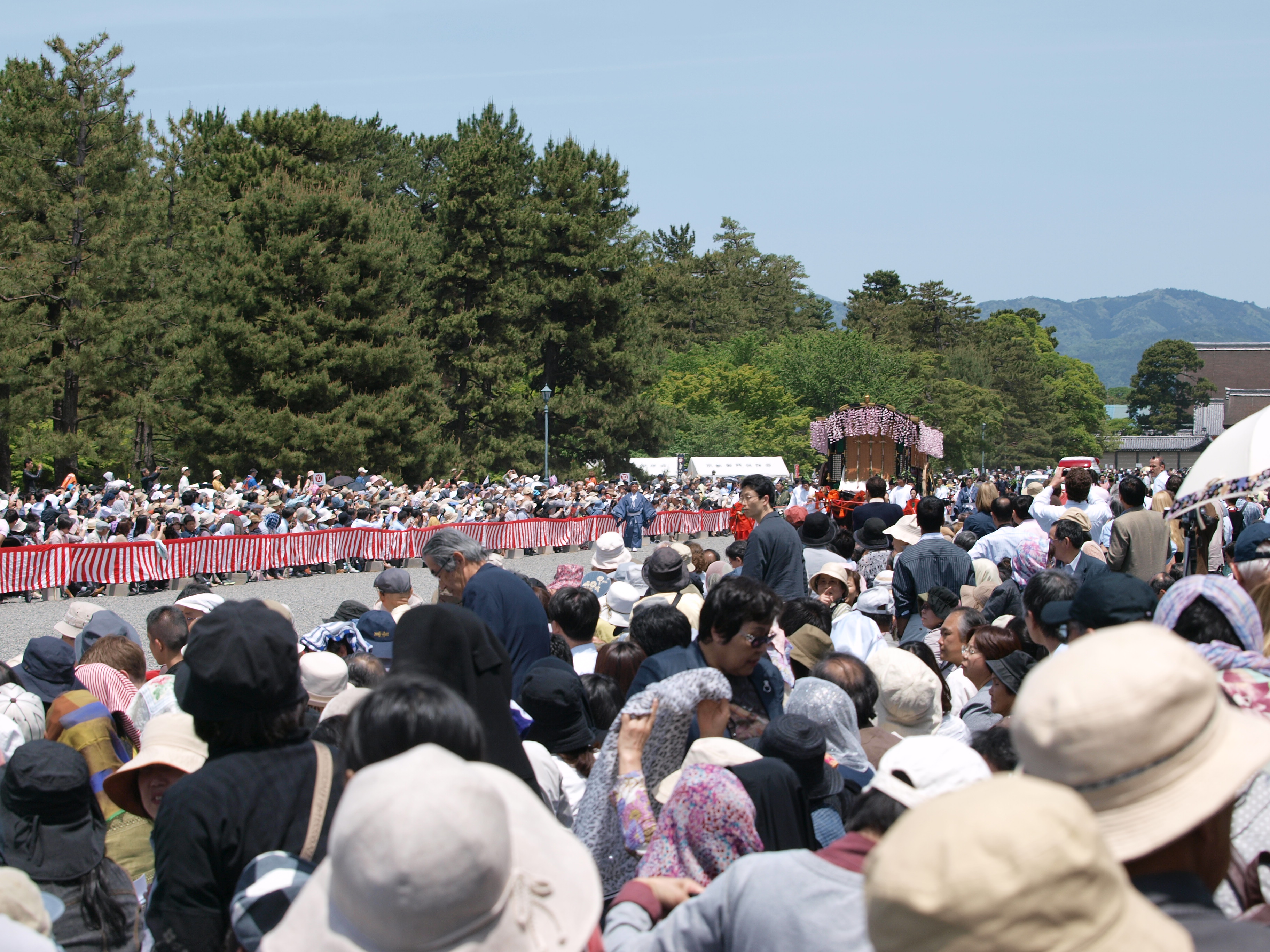 P5155443.JPG