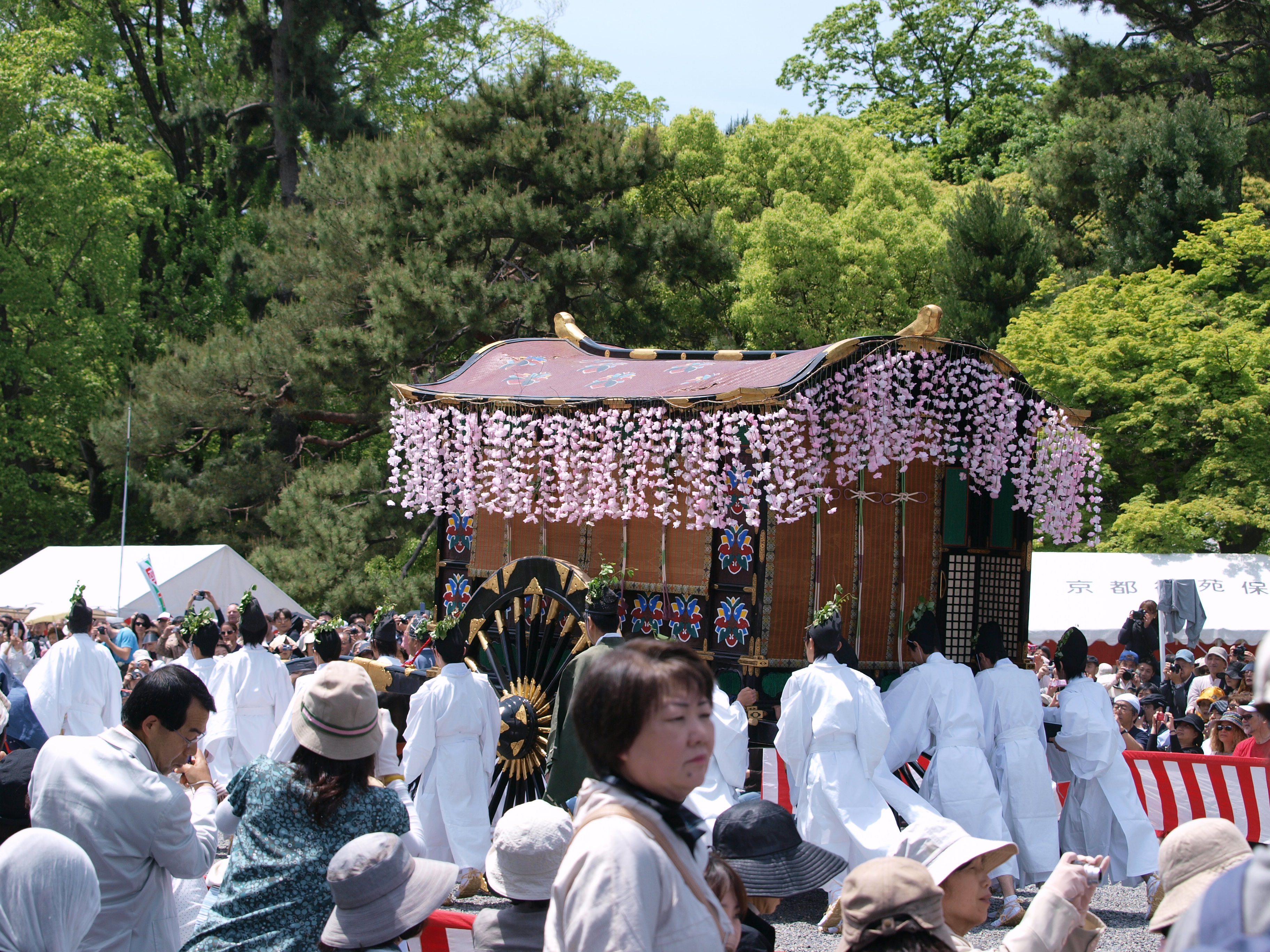 P5155450.JPG