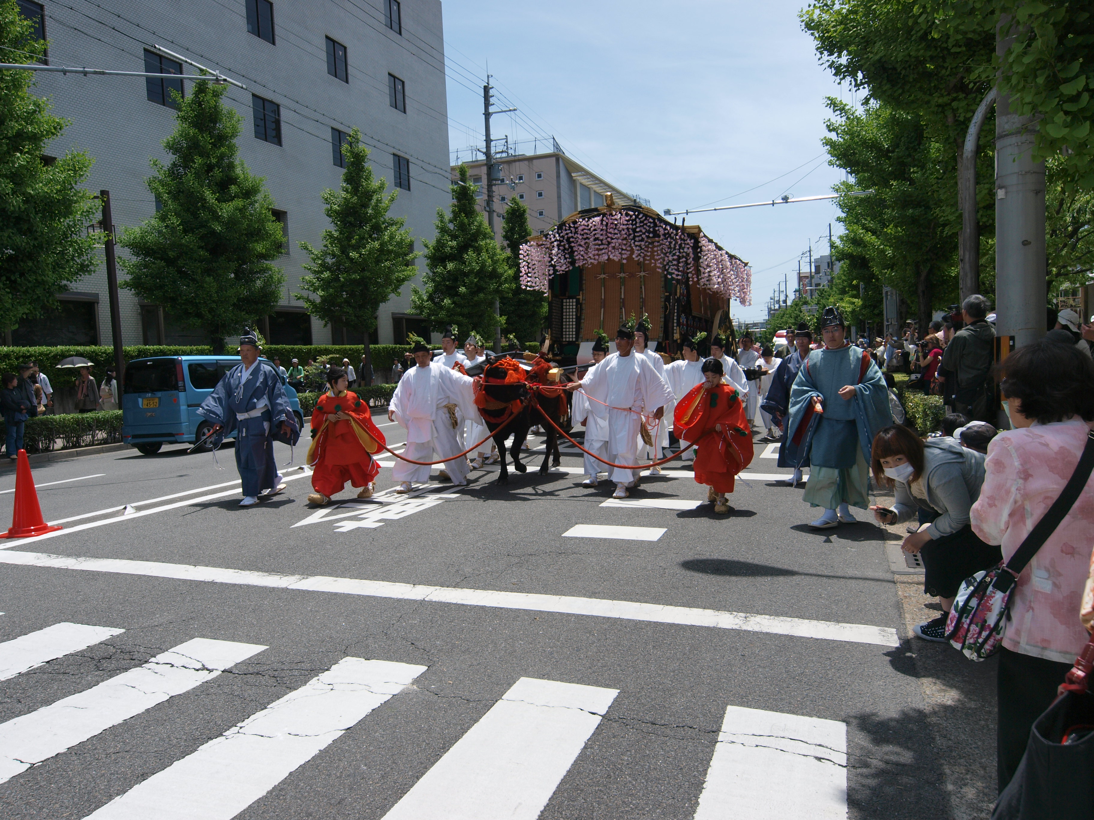 P5155473.JPG