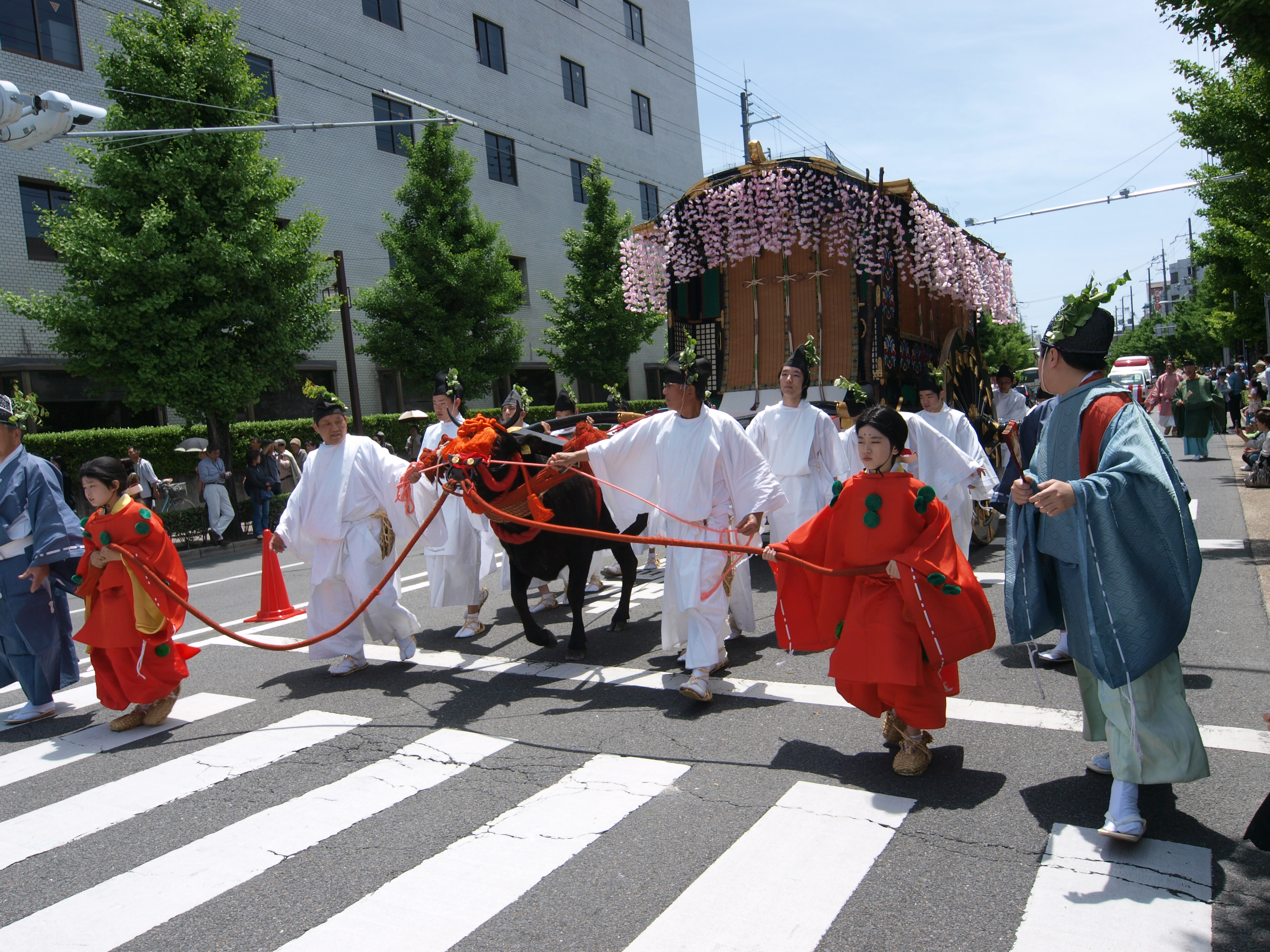 P5155474.JPG