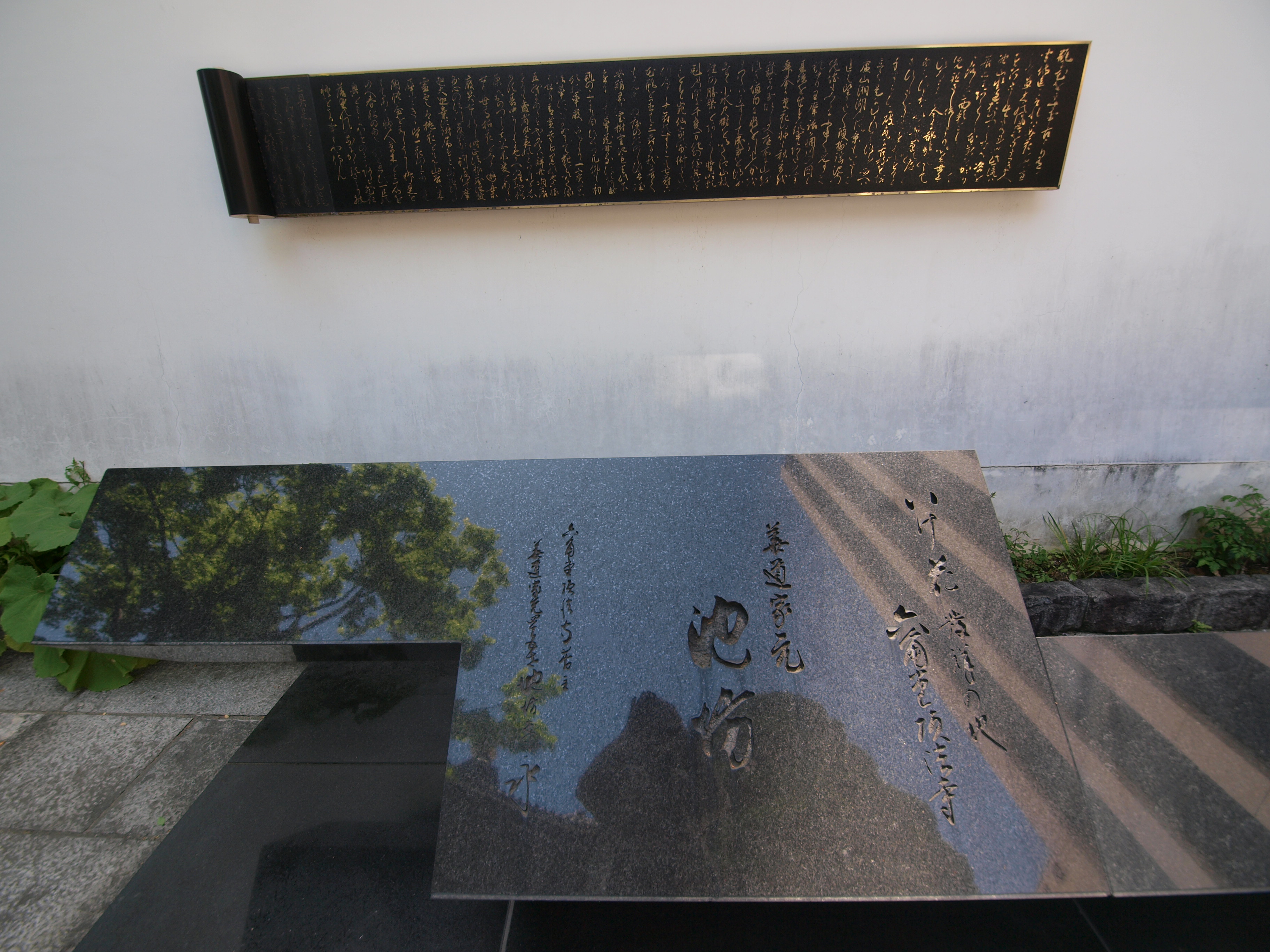 P5155485.JPG