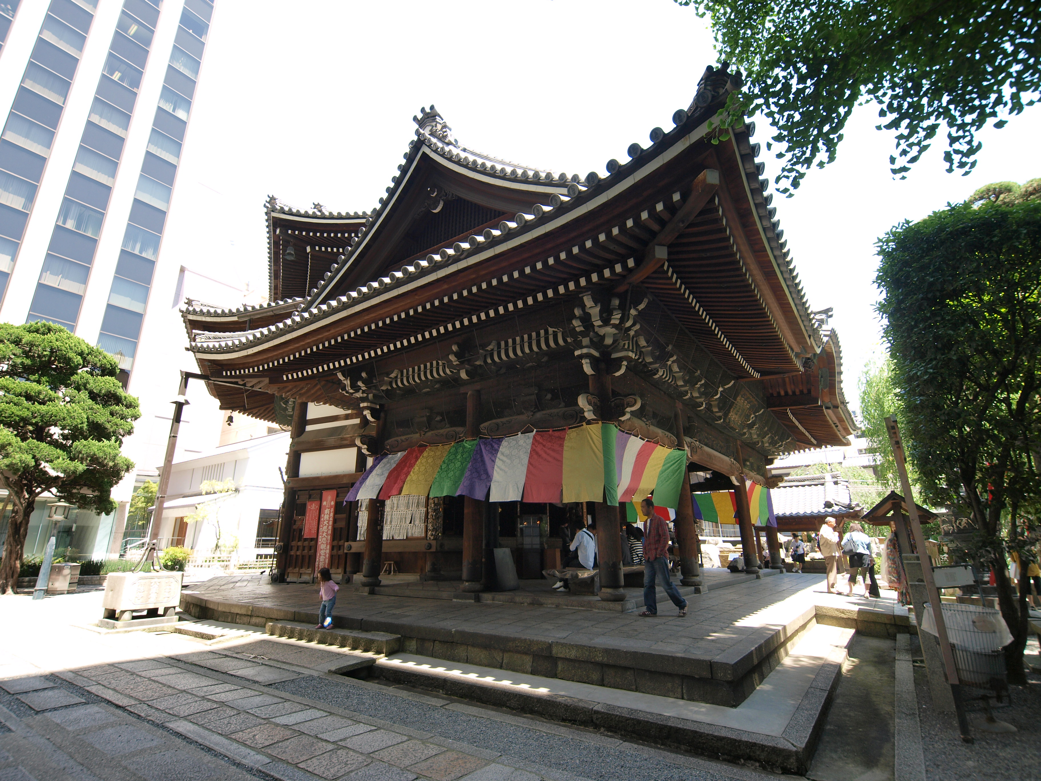 P5155487.JPG