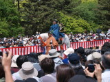 img0024.jpg