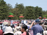 img0050.jpg