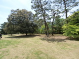 img0096.jpg