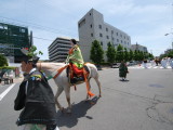 img0108.jpg