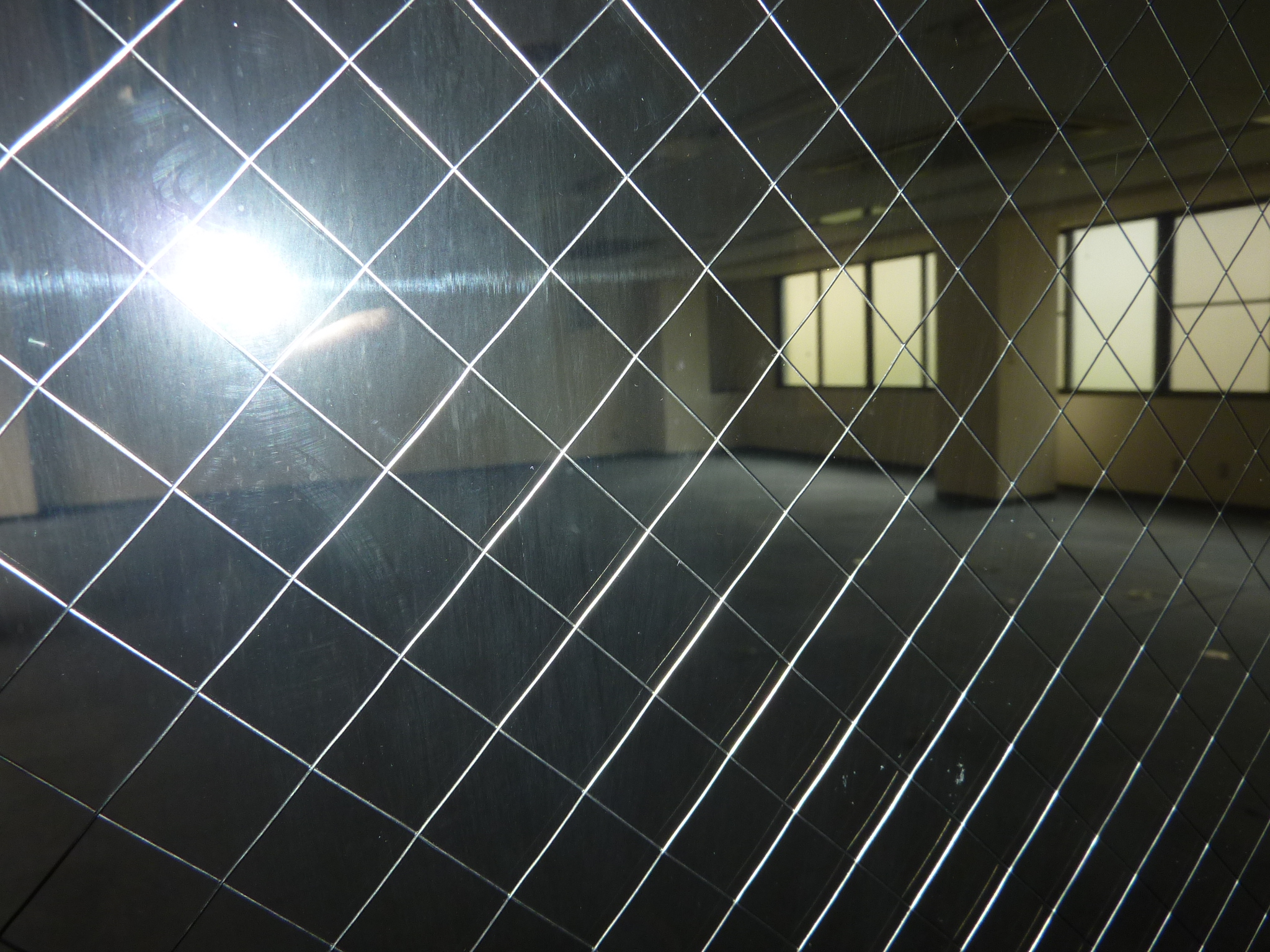 P1030841.JPG