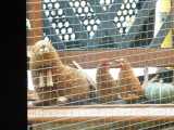 img0002.jpg