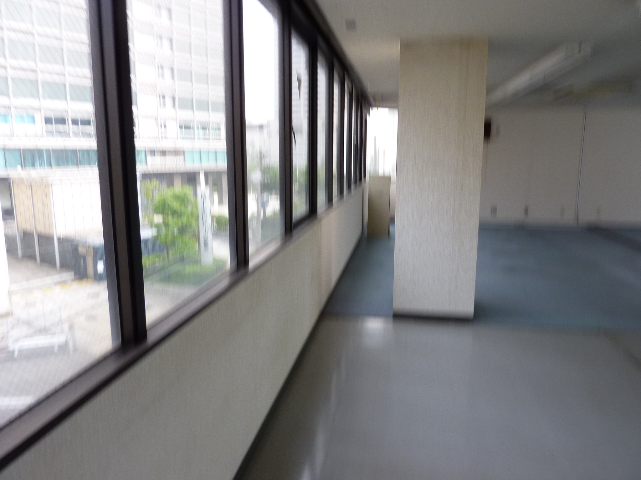 P1030905.JPG