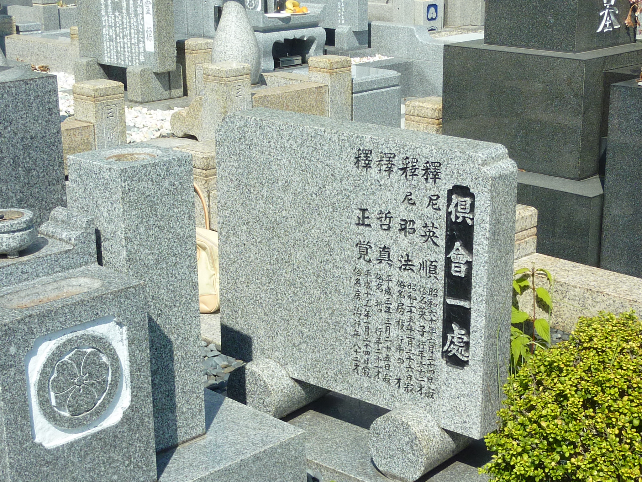 P1040040.JPG